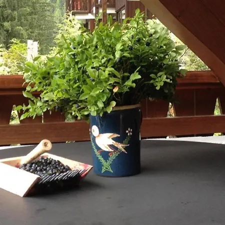 Village Des Oursons A4 By Interhome * Chamonix