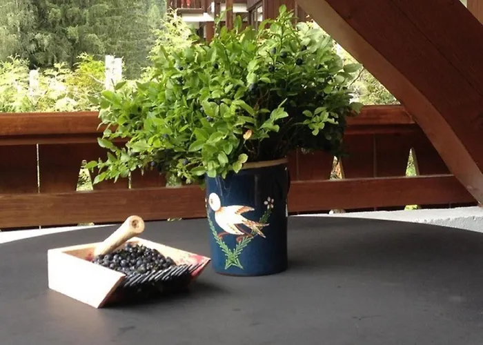 Village Des Oursons A4 By Interhome * Chamonix